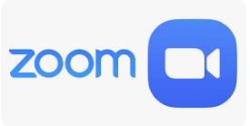 Zoom Icon